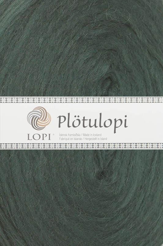 Plötulopi 0484 Forest Green (in place of 1422 sea green) — 1 plate in the Afleggjari kit