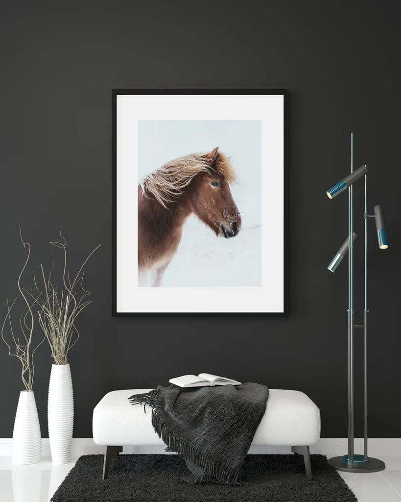 Steady - Icelandic Horse Fine Art Prints - The Icelandic Store