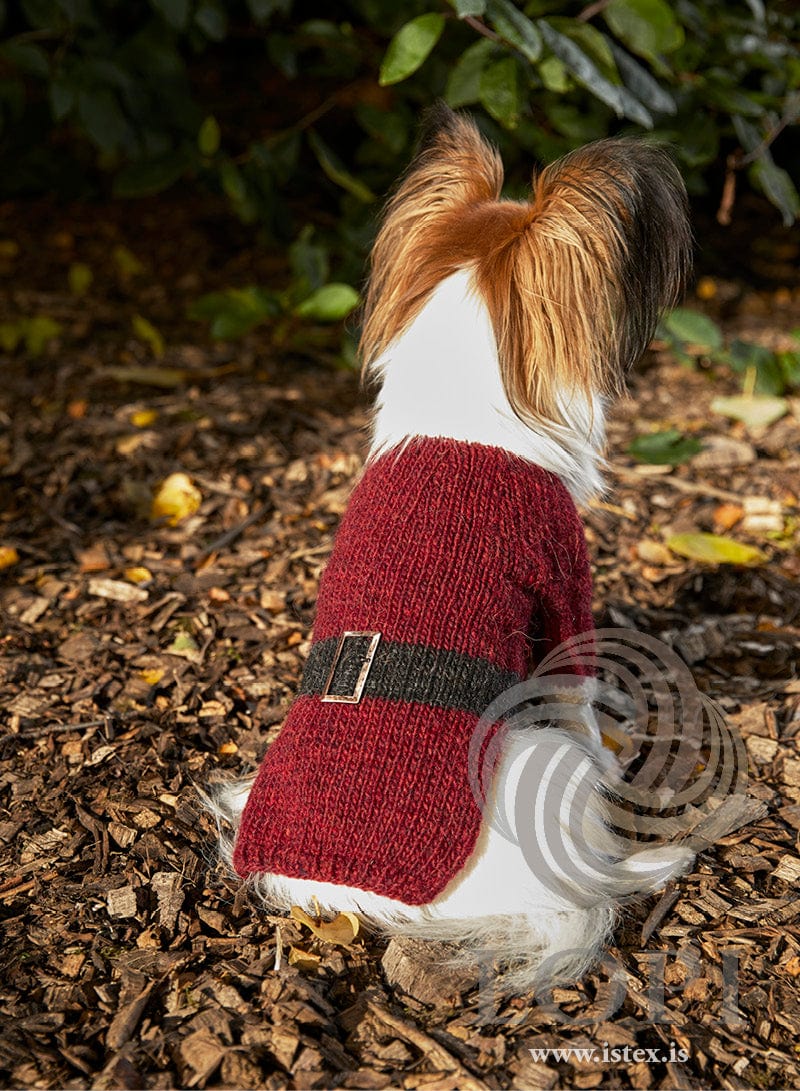 Jólahundur — Knitting pattern