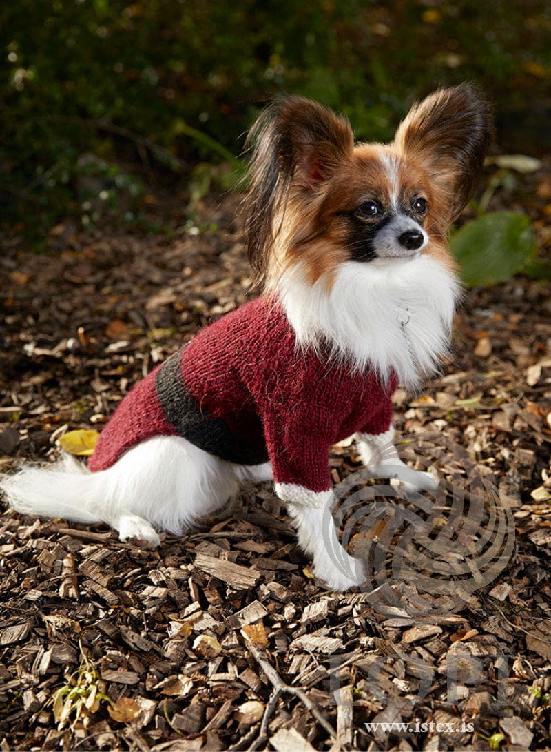 Jólahundur — Knitting pattern