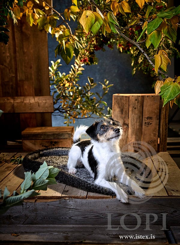 Bæli — Knitting pattern