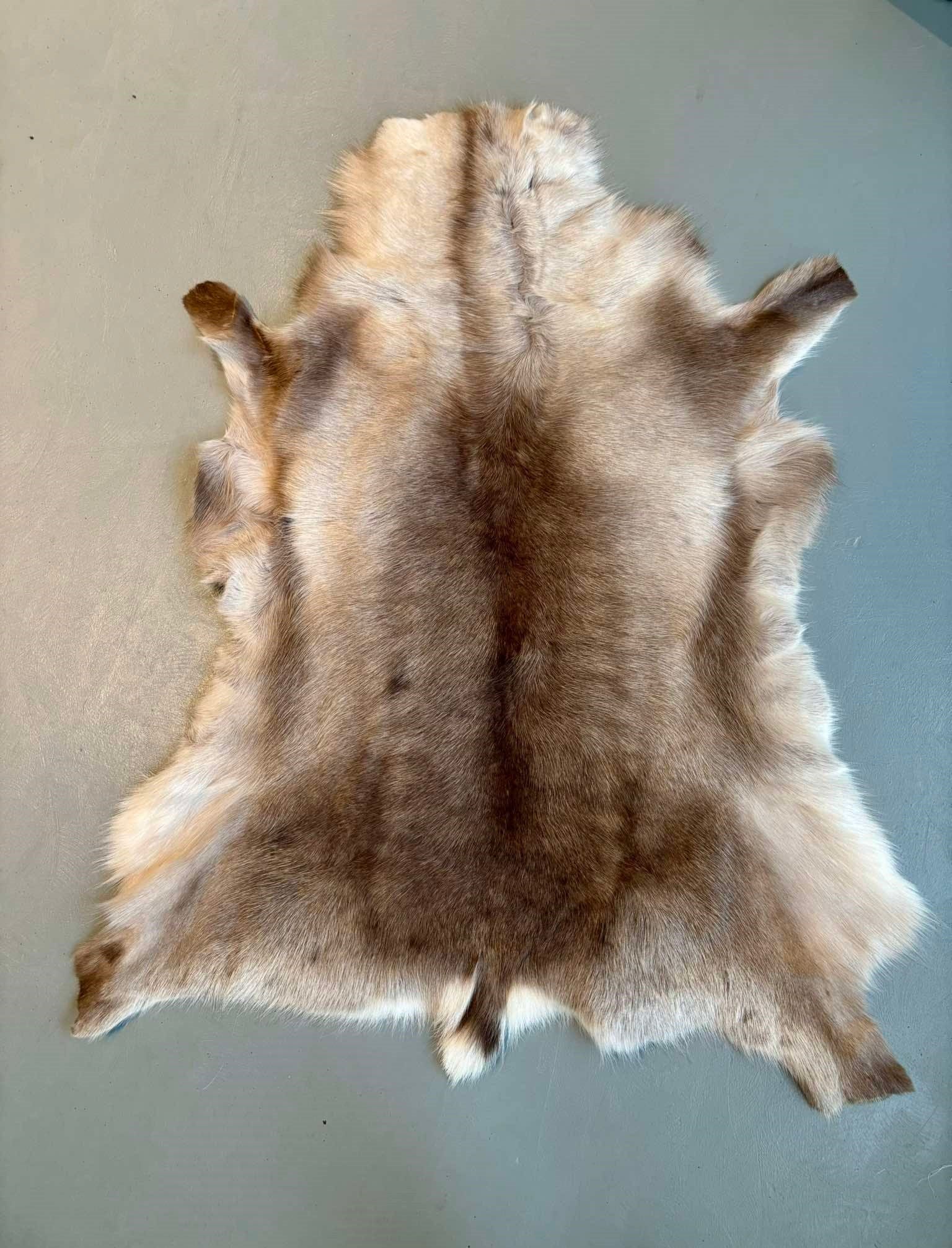 Reindeer Hide Throw - The Icelandic Store