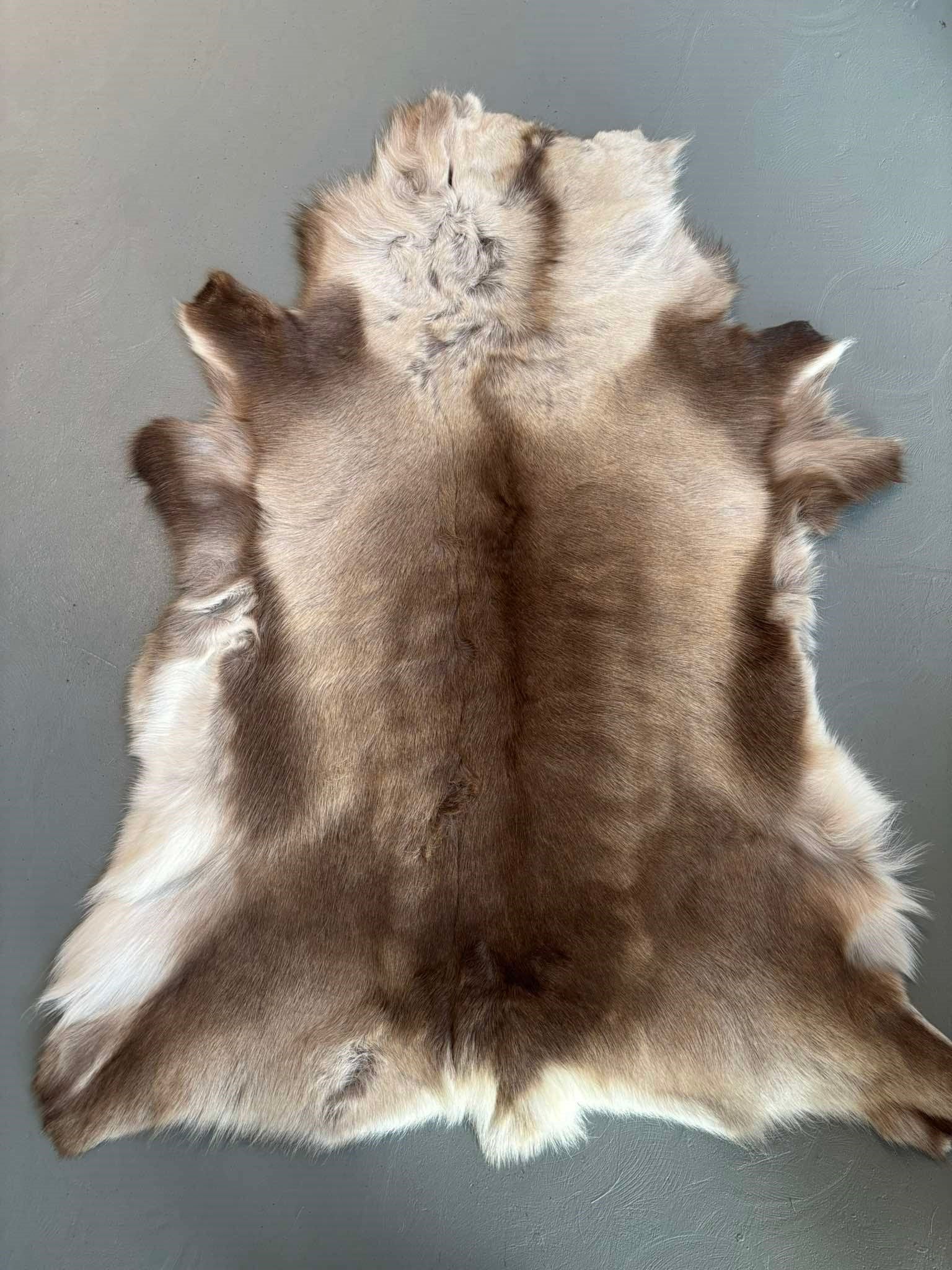 Reindeer Hide Throw - The Icelandic Store