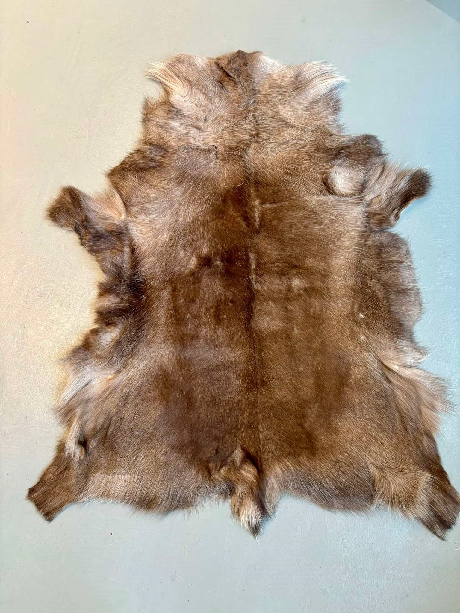 Reindeer Hide Throw - The Icelandic Store