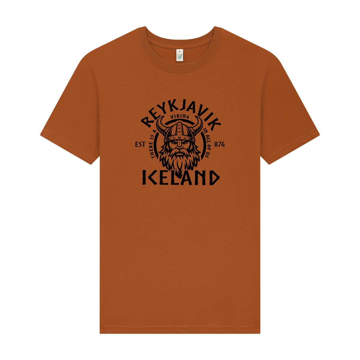 Viking in All of Us - T-Shirt
