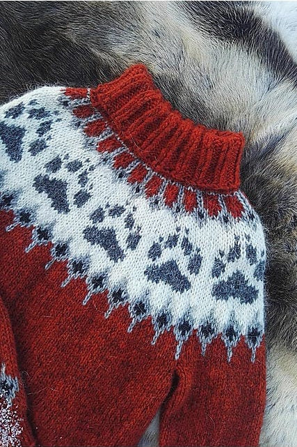 The Wilderness sweater Burnt Orange - Alafosslopi Knitting Kit - The Icelandic Store