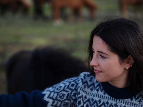 Borg - Icelandic sweater (Blue) - icelandicstore.is