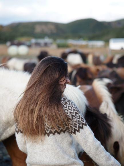 Borg - Icelandic sweater (Oatmeal) - icelandicstore.is