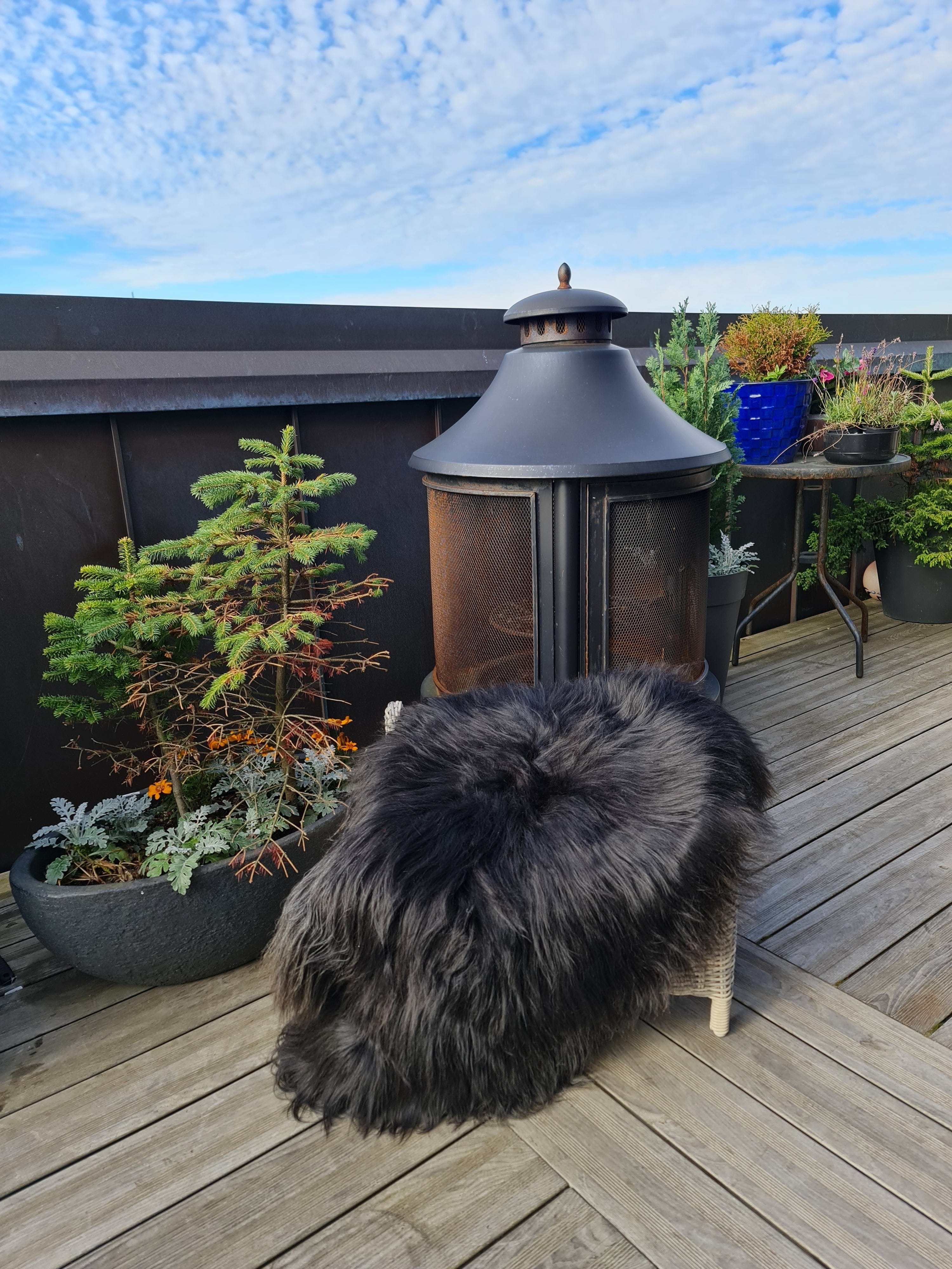 Icelandic Sheepskin Rug. Sheepskin throws for sale