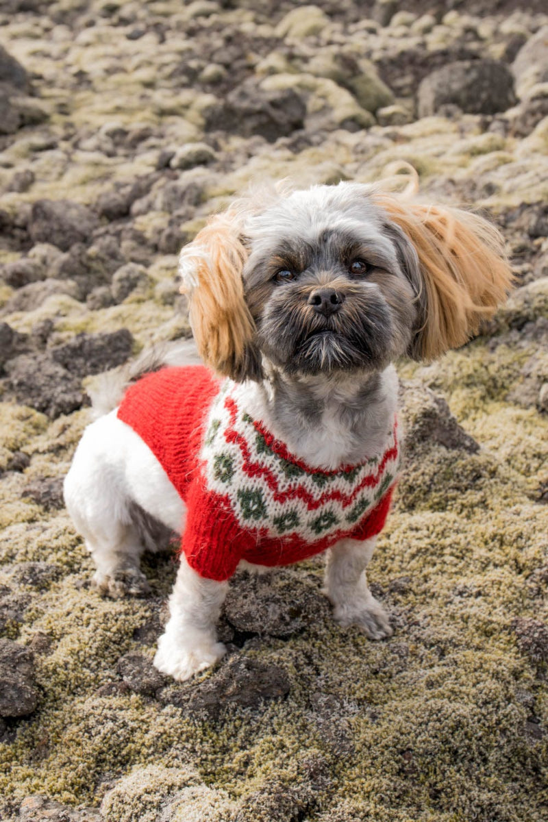 Voff - Knitting Kit - The Icelandic Store