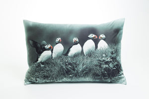 Cushion Cover - Icelandic Puffins