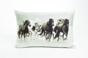 Cushion Cover - Icelandic Horses