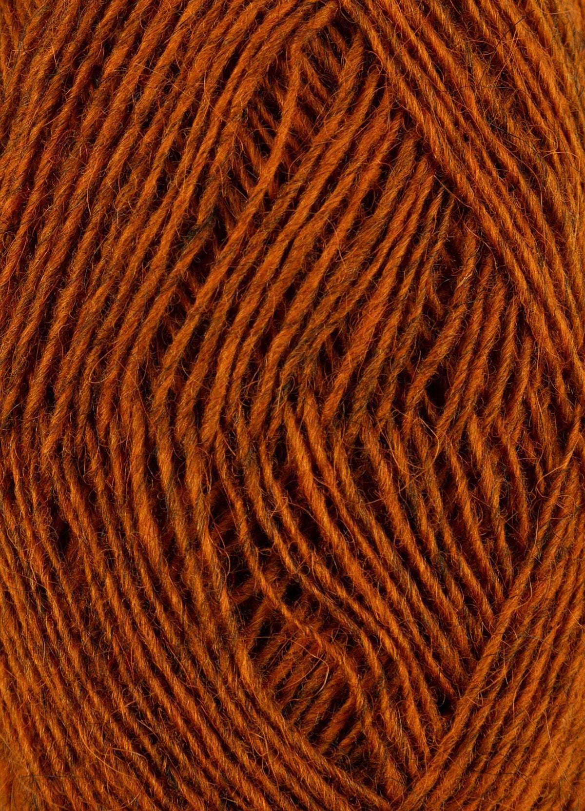 Fjallalopi 3042 Ginger (embroidery) — 1 ball in the Kilir kit