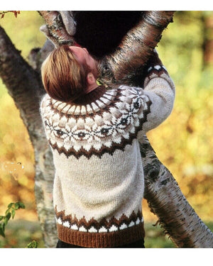 Auðunn  - Beige Icelandic wool sweater - Knitting Kit
