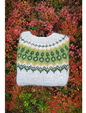 Winter Coarvegiella Light Ash Alafoss Wool Sweater - Knitting kit