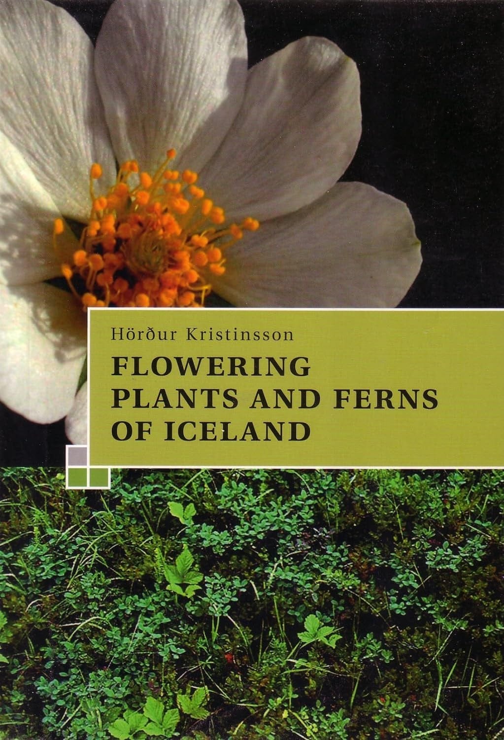 Flowering plants and ferns of Iceland - The Icelandic Store