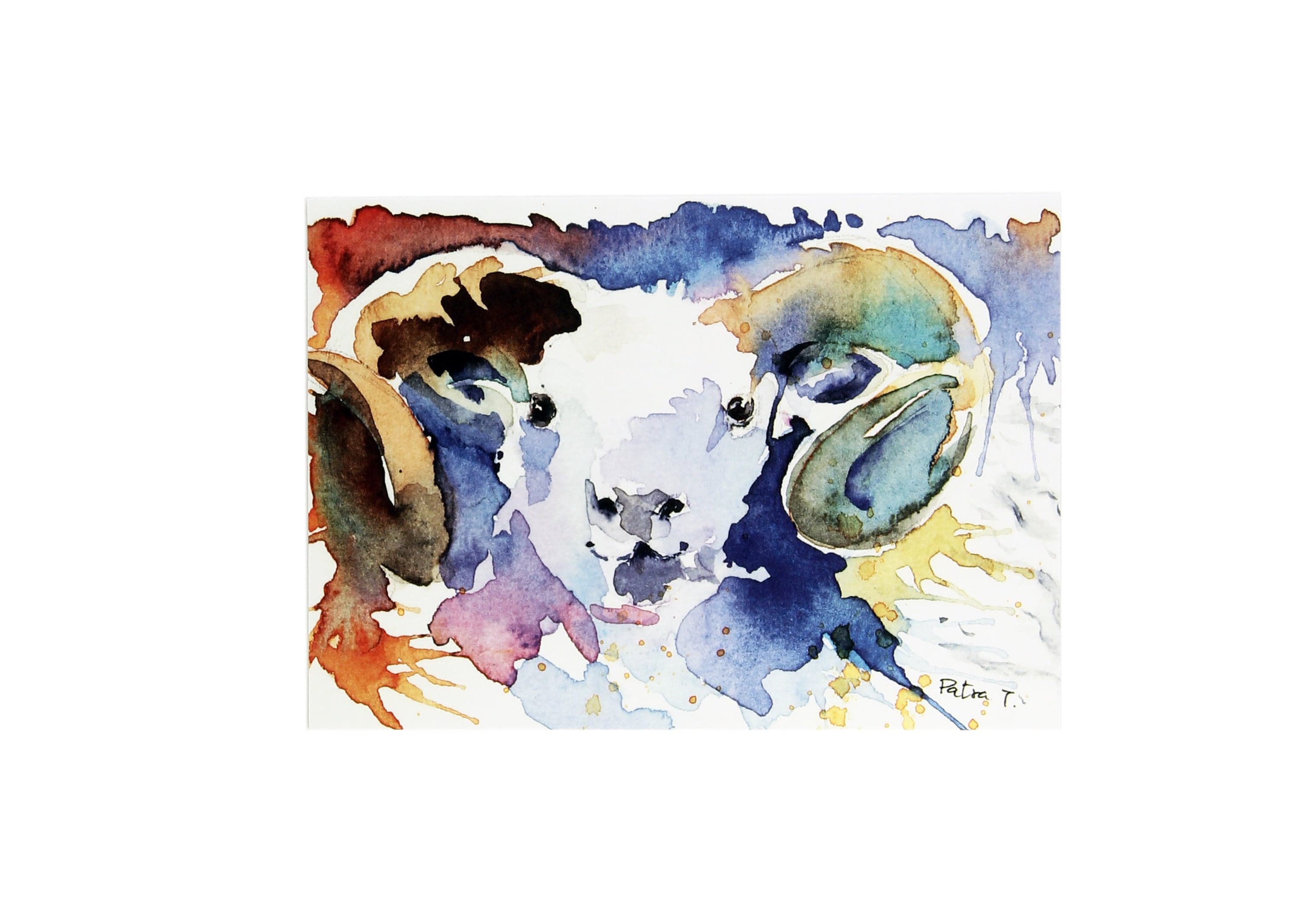 Icelandic Ram | Postcard