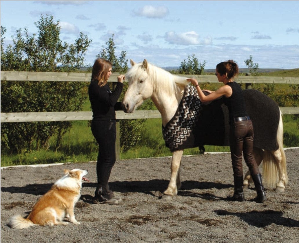 Two women putting Hestur on a pale horse in a sandy paddock by a wooden fence — the patterned yoke at the horse’s neck and the blanket over its back — while an orange and white dog sits on the left. This photo is not in the PDF; the women, their clothes, the sunglasses, earring and bracelet of the woman on the right, and the dog are not part of the pattern