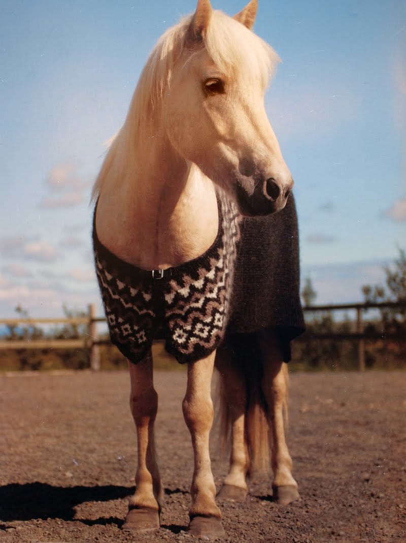 Horse Wool Rug Blanket - Knitting Kit - The Icelandic Store