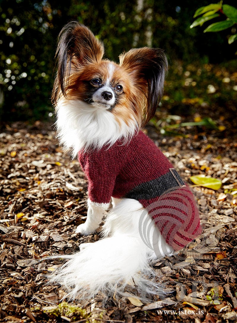 Jólahundur knitting pattern Léttlopi dog sweater by VédÃs Jónsdóttir