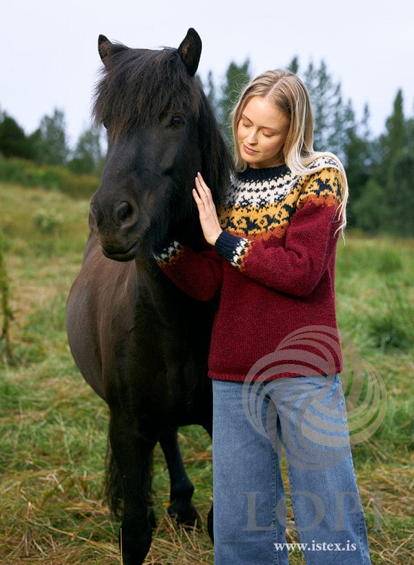 Farfuglar — Knitting pattern