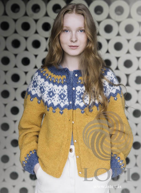 和田颯 how004 D's Knit Vorsól Knitting pattern | Léttlopi steeked cardigan by Védís
