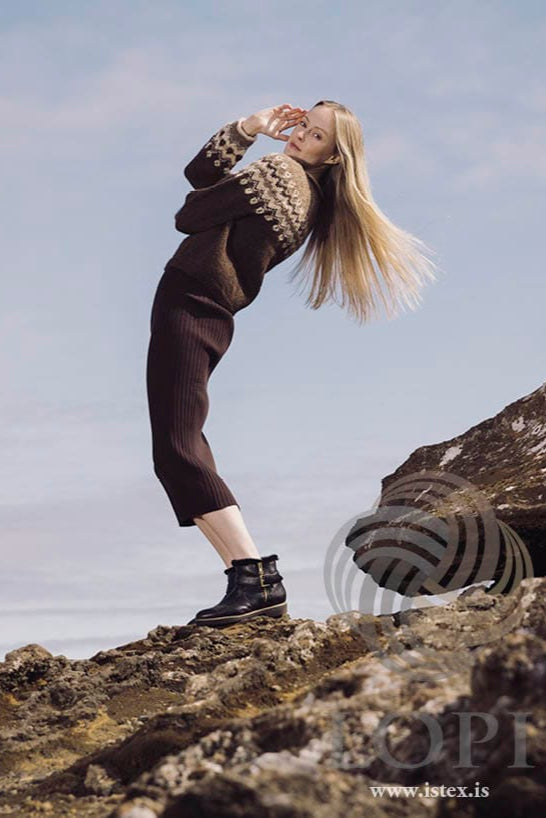 Punktar — Brown Knitting kit