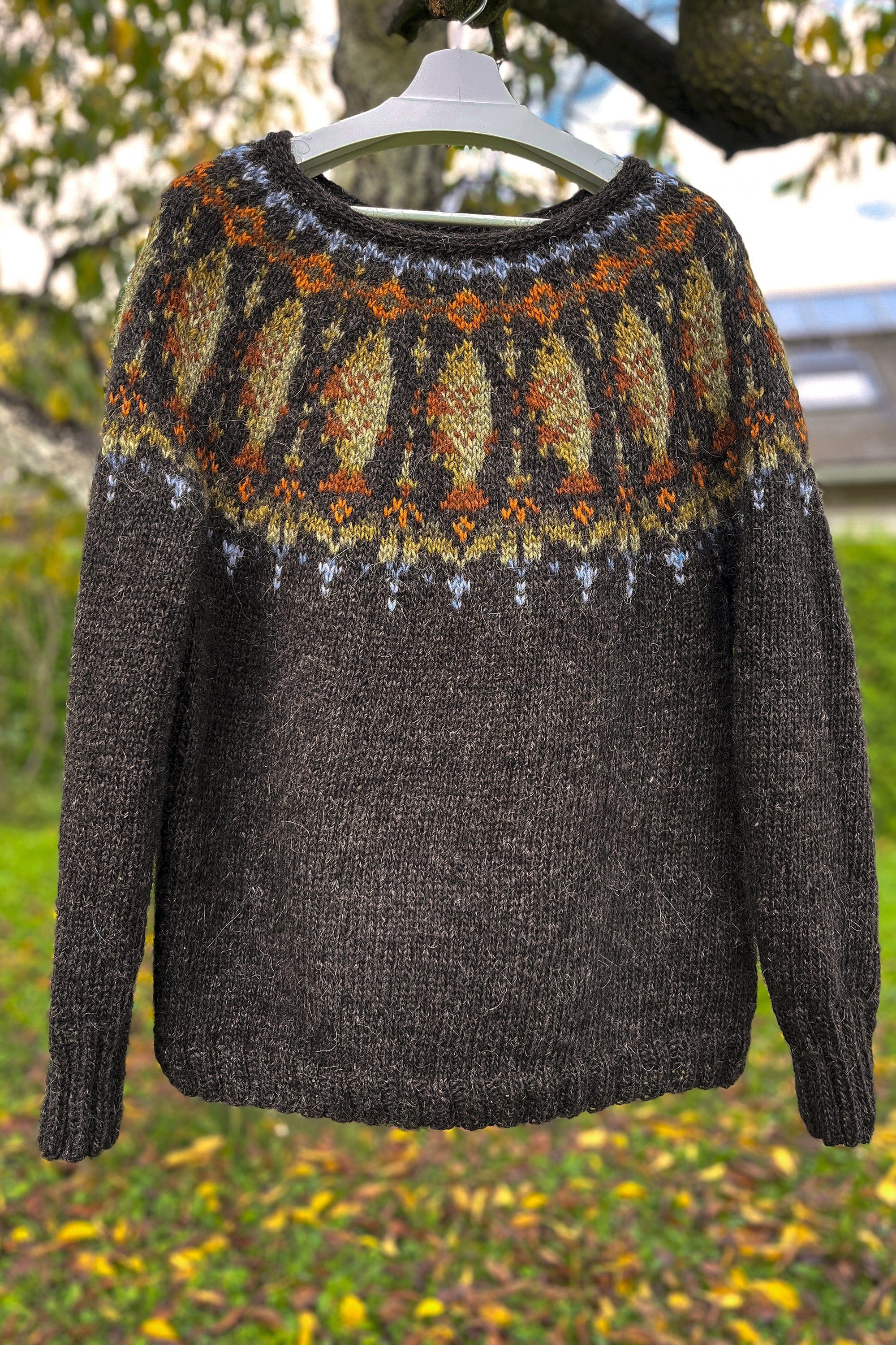 Lofoten Cod Fish Lopapeysa — Knitting Kit