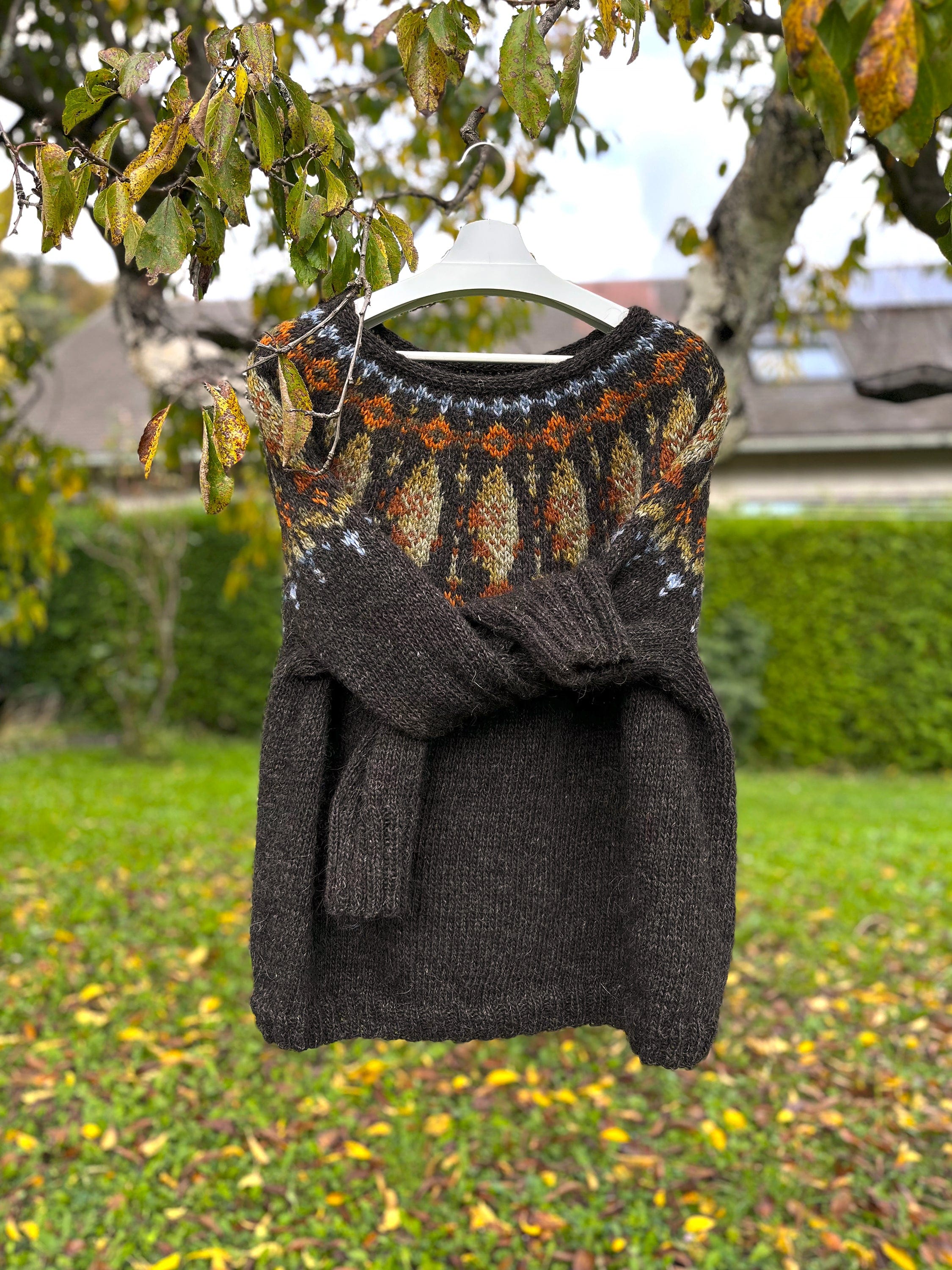 Lofoten Cod Fish Lopapeysa — Knitting Kit