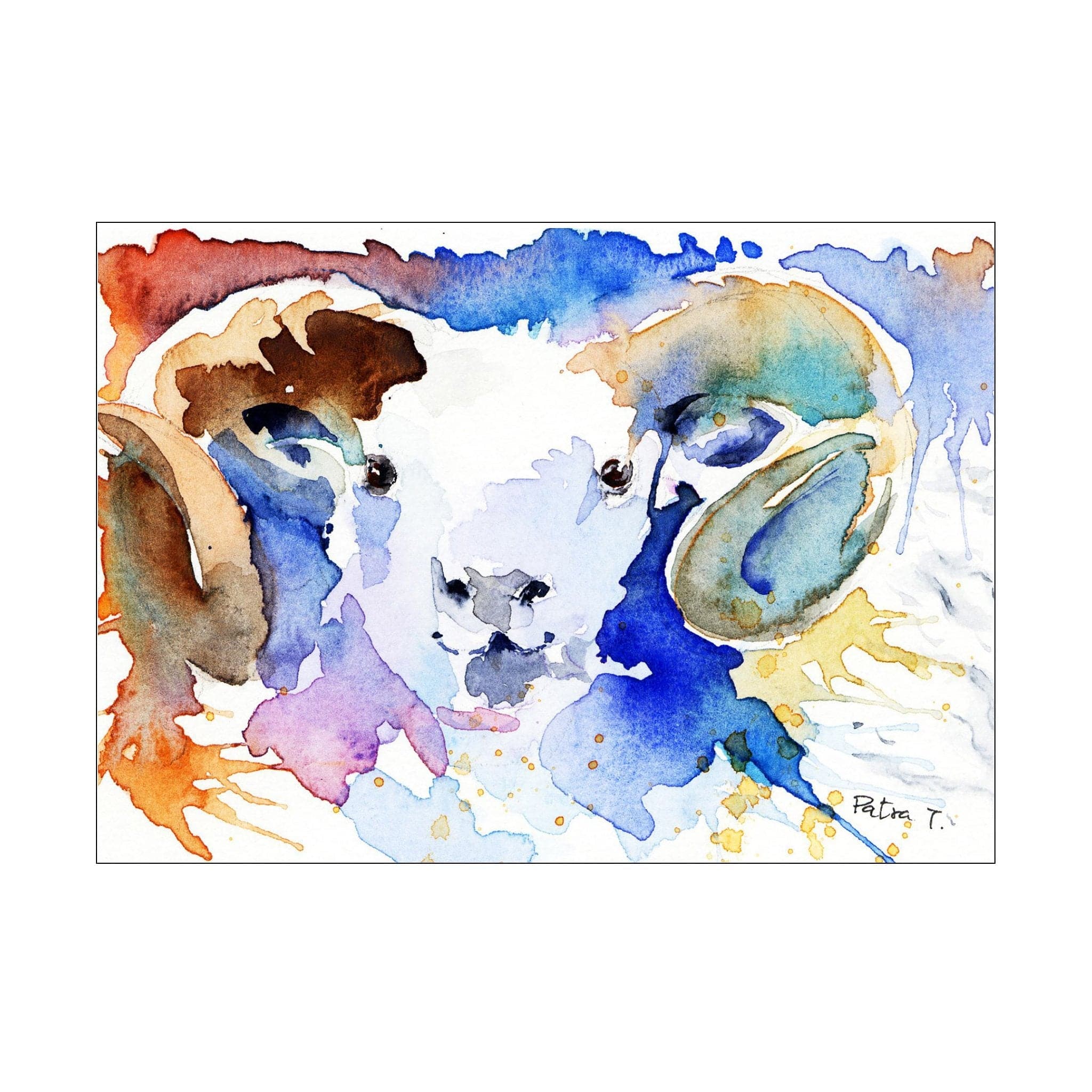 Sheep eye contact | Postcard