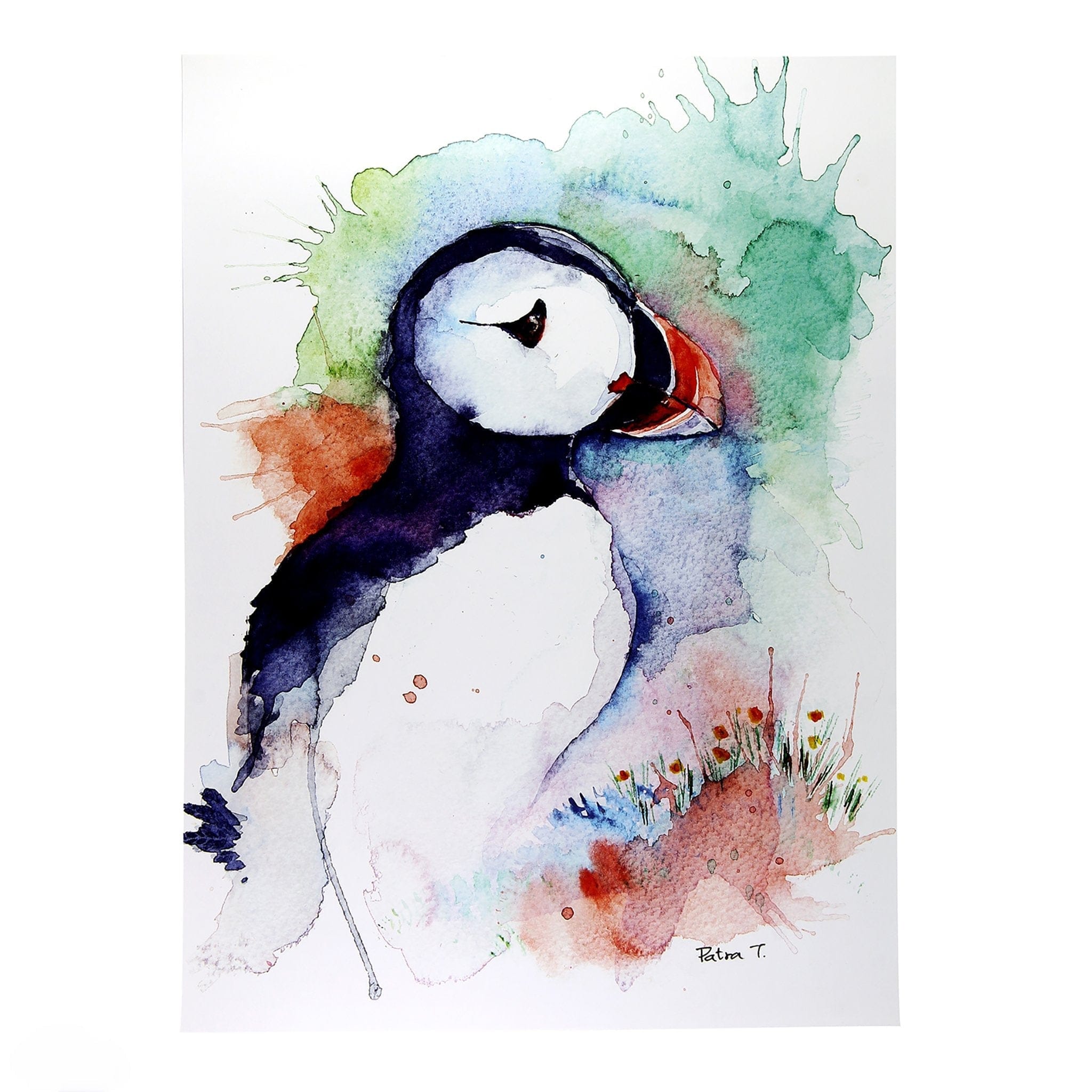 Puffin Summer | Poster