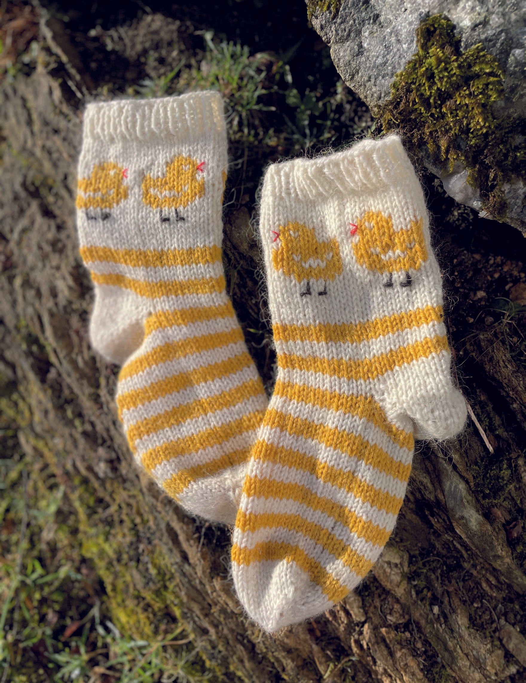 Strolling Chikens Socks - Knitting Kit