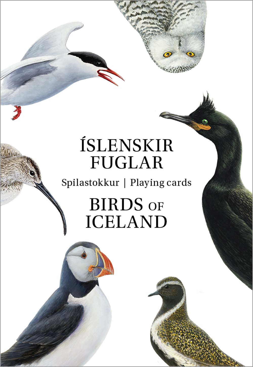 Icelandic Birds Playing Cards