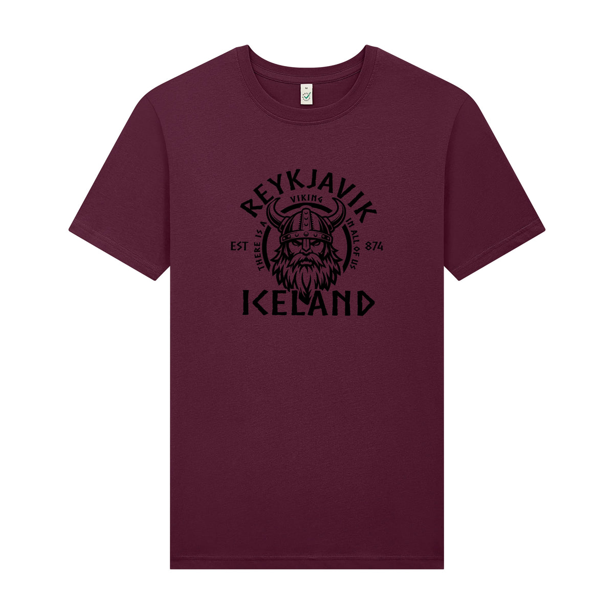 Viking in All of Us - T-Shirt