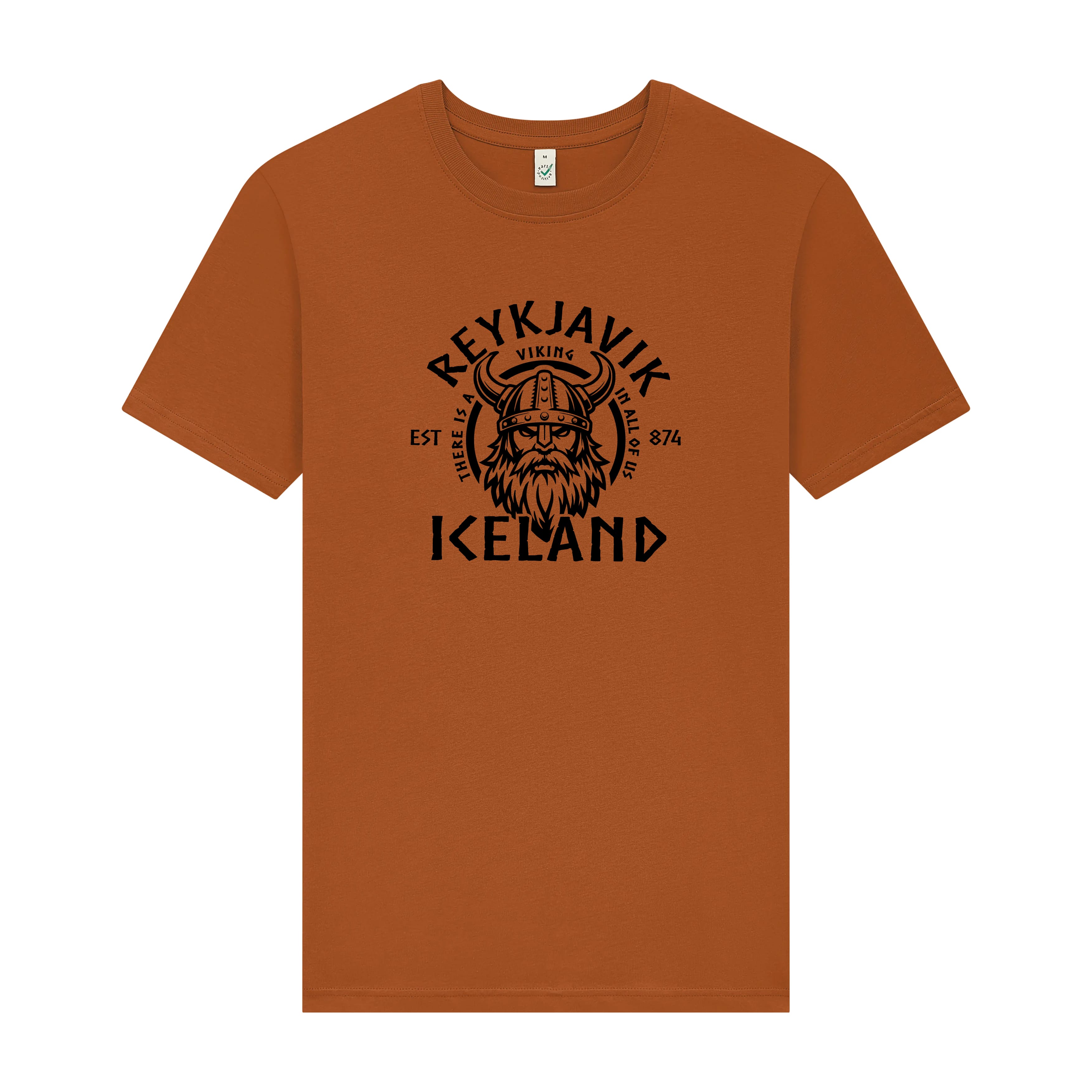 Viking in All of Us - T-Shirt