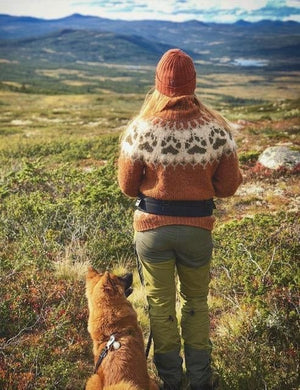 The Wilderness sweater Orange -  Alafosslopi Knitting Kit