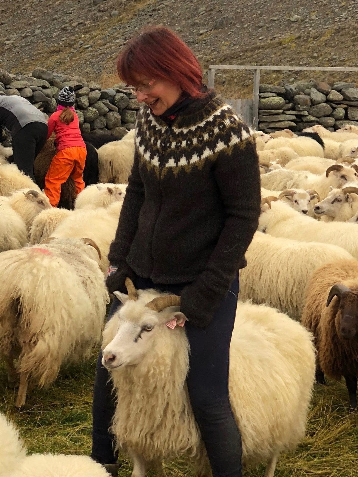 Woman among sheep wearing the Icelandic Zip Cardigan zipped up — a short black heather cardigan with a folded rib collar and a round yoke patterned in oatmeal and white