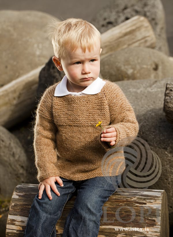 Small boy sitting on a log in the one-colour version of Kjarr in barley — a garter-stitch yoke with raglan lines above a stocking-stitch body, in the pattern’s original colour. The white collar of his shirt, his jeans and the yellow flower in his hand are not part of the pattern