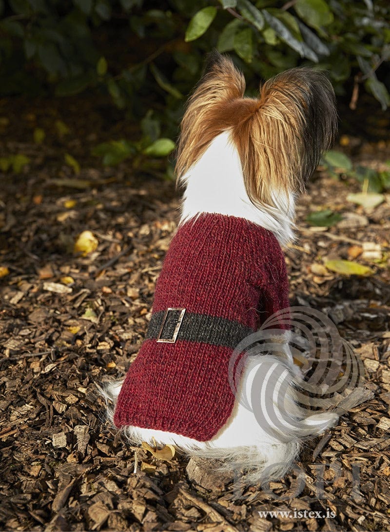 Jólahundur dog sweater from the back, showing the black belt with a buckle
