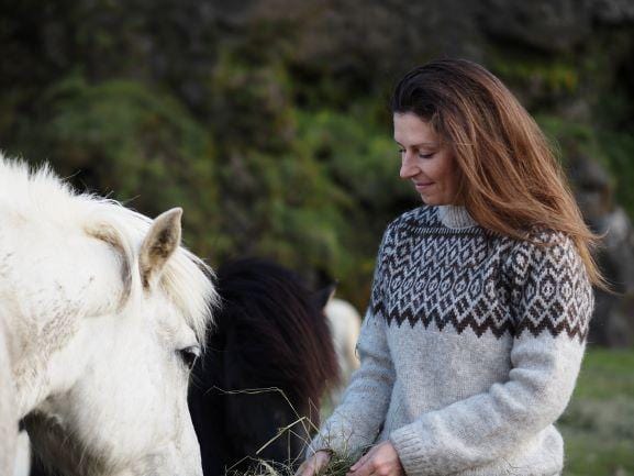 Borg - Icelandic sweater (Oatmeal) - icelandicstore.is