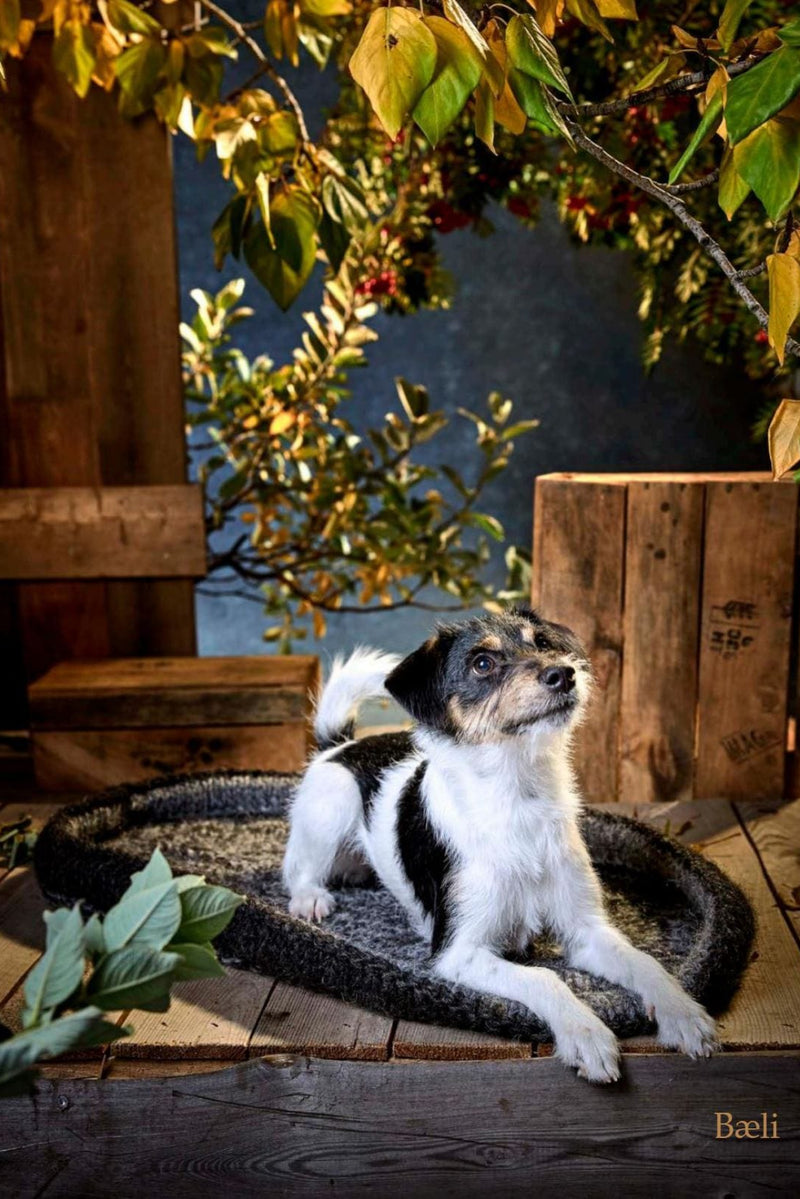 Bæli dog bed - Knitting Kit